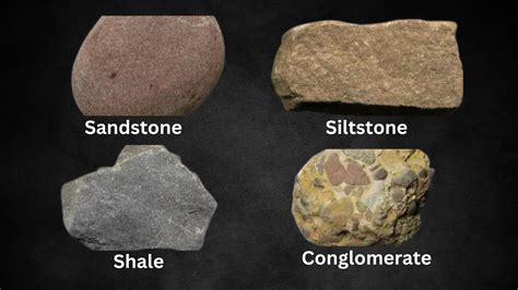 Three Types of Rocks with Examples 的图像结果