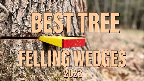Rezultat imagine pentru Using Tree Felling Wedges