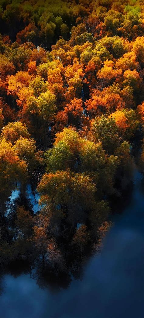 世界各地的秋天摄影，美得就像一幅浓墨重彩的风景画_霞浦