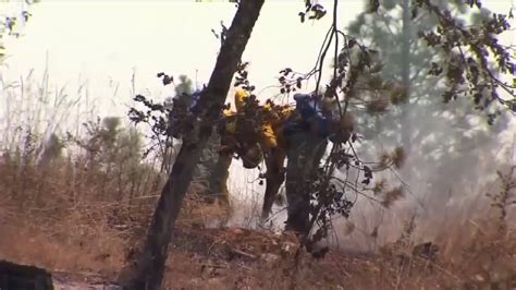 Northern California wildfire biggest in state history | FOX 13 Seattle