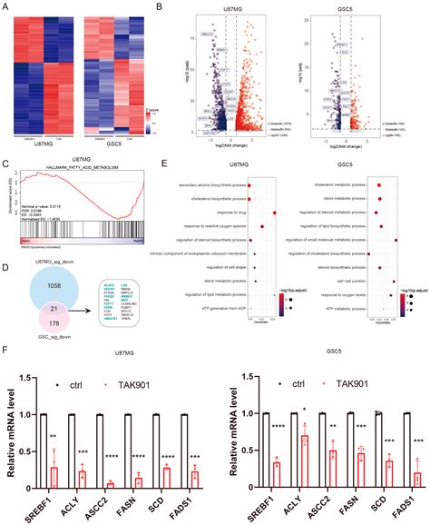 The Aurora Kinase Inhibitor TAK901 Inhibits Glioblastoma Growth by ...