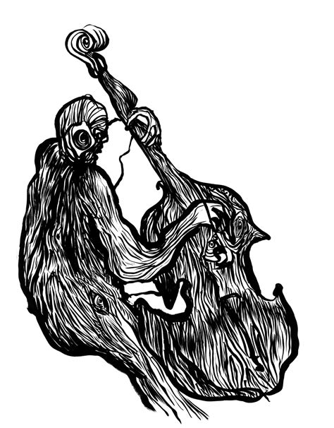 Image result for How to Draw a Three Toed Sloth