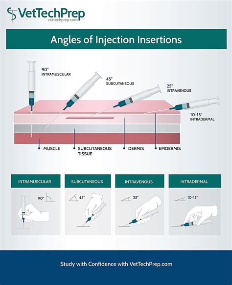 Image result for Introvet Injection