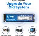 EVM NVMe (GEN 3) 1 TB Desktop, Laptop, All in One PC's Internal Solid ...