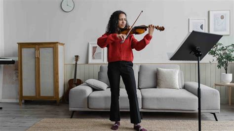 Violin 的图像结果