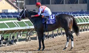 Shisospicy on Standby, Bentornato on Track for Dubai - BloodHorse