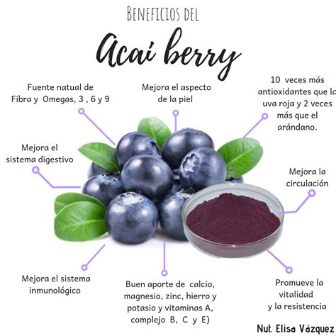 Acai Berry Que Es En Español - Twin Fruit