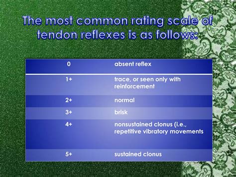The Pulse and Deep Tendon Reflex Grading Scale | PPTX