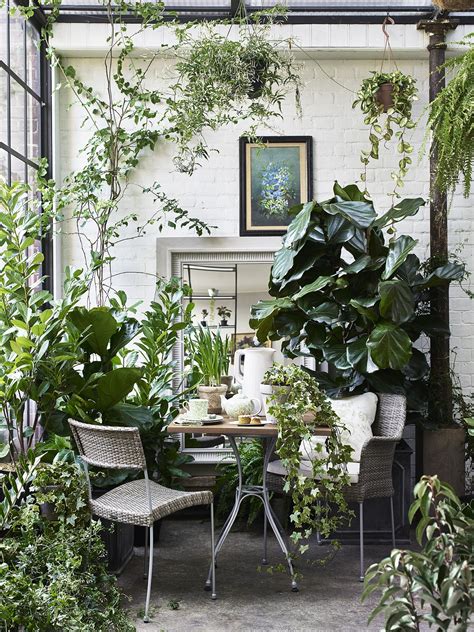 Living Room Ideas With Lots Of Plants