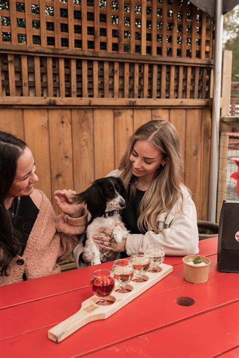Pup Picnic Sundays at Taves Estate Cidery, 333 Gladwin Rd, Abbotsford ...