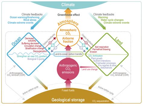 Carbon Cycle Diagram Ib