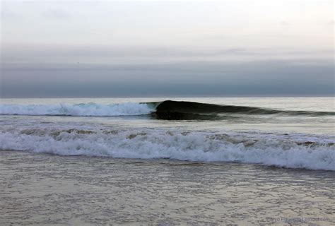 Morro Bay Dog Beach - emdot