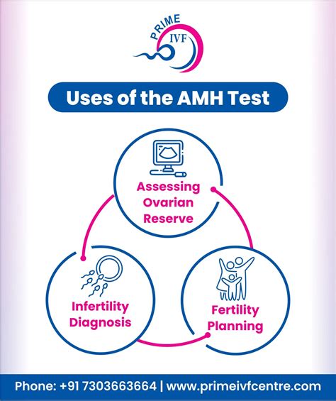 What is an AMH Test? - Understanding Anti-Mullerian Hormone Testing