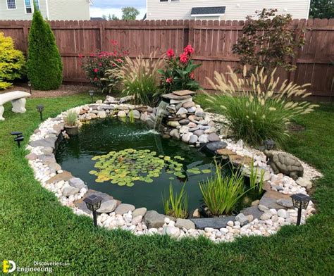 Butterfly Spanish Tutorial 的图像结果