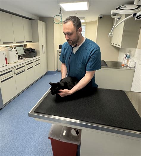 Montclair Veterinary Associates Opens on Park Street - Montclair Girl