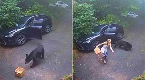Seeing the bear coming out of the car, the woman cried again, something ...