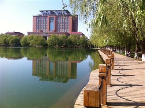 渤海大学是几本位置在哪（中国唯一一所以海域命名的大学，不是211、985，却有王牌专业） | 说明书网
