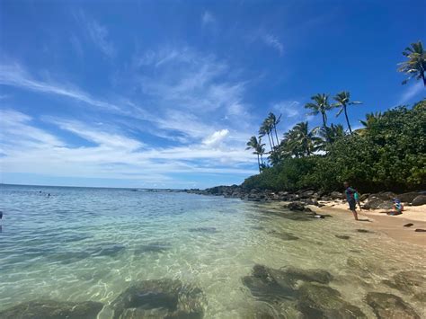 Mahalo Nui Loa! — Campfire Coffee