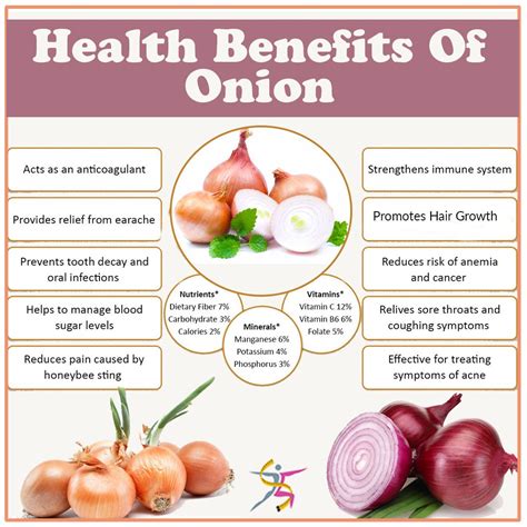 Health benefits of eating Onion:#healthyfood #eathealthy #WLS | Onion benefits health, Eating ...