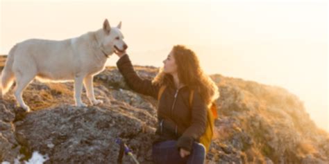 Day Treatment Program - Lightfully Behavioral Health - Mental Health ...