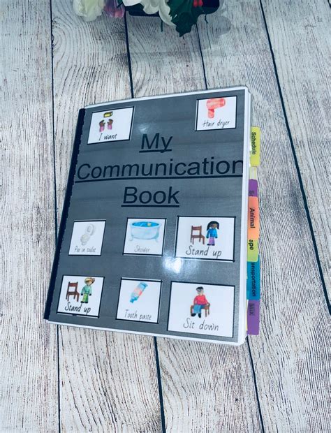 Autism Communication Pictures Cards Book or Binder Bundle of 300, Speech ABA Therapy ...