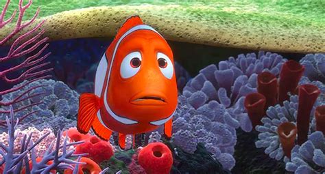 Image result for Finding Nemo Part 5 Drop Off