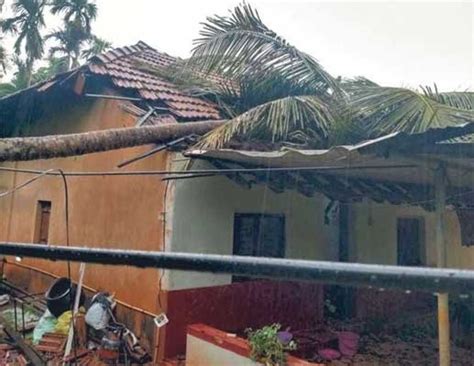 Freak Storm Batters Beltangady: Trees Uprooted, Electric Poles Down ...