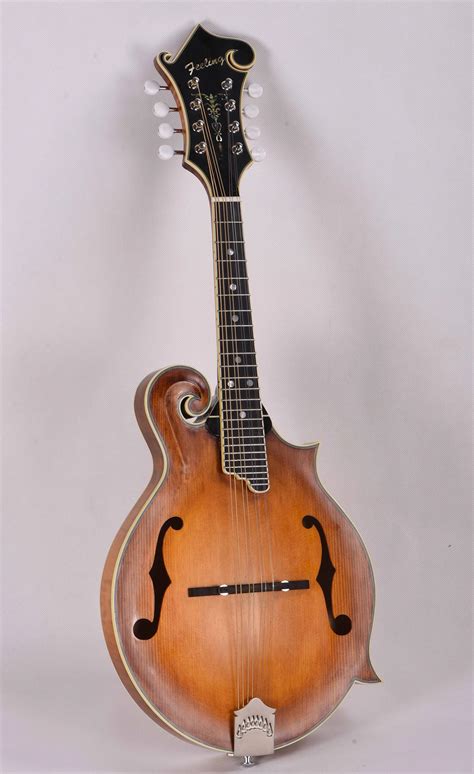 Image result for Mandolin