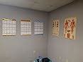 Buy Palace Learning Vintage Muscular & Skeletal System Anatomical Chart ...
