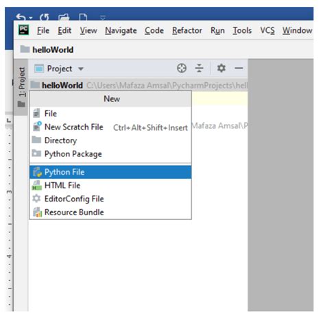 Image result for My First Python Program
