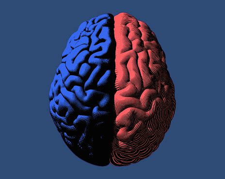 Image result for Mind Exploding Back Cover