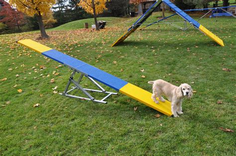 Handlers Choice Agility Seesaw