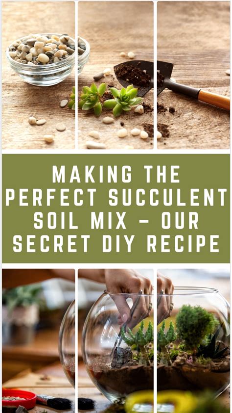 Making the perfect succulent soil mix our secret diy recipe – Artofit