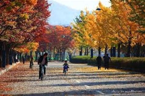 Incheon Grand Park , incheon, South Korea - Top Attractions, Things to ...