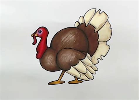 Image result for How Draw Turkey