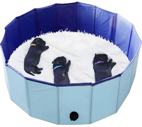 7 Best Dog Whelping Boxes – 2026 Reviews & Top Picks – Dogster