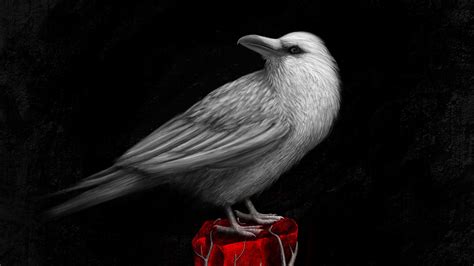 Download wallpaper 3840x2160 raven, bird, art, stone, branch 4k uhd 16: ...