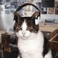 Image result for Cat Generator Control Module