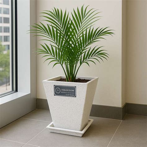 Shop Eco-Friendly Palm Pots – Grow Green Planters