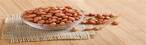 Nature's Bridge Peanuts 400 Gm / Sing Dana / Mungfali Dana / Peanut ...
