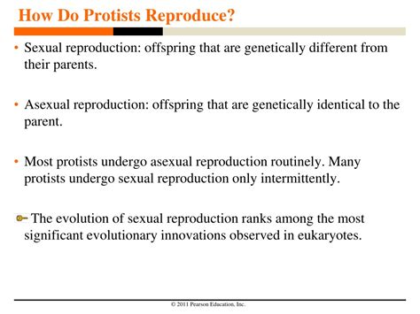 Image result for How Do Protists Reproduce