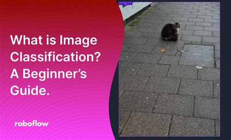 Image result for Image Classification How It Work