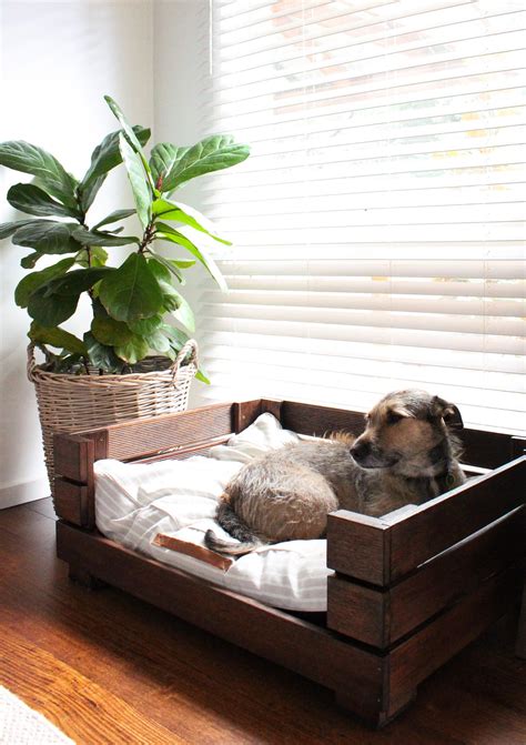 Simple diy guide to building a dog bed frames your pooch will love ...