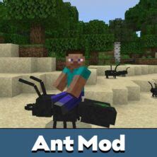 Minecraft Insect Mod 的图像结果
