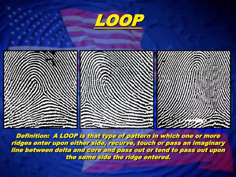 Image result for Loop Fingerprint