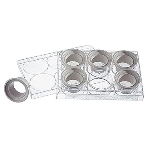 Axygen AXY - 3477 15 mm Netwell Insert with 74 µm Mesh Size Polyester ...