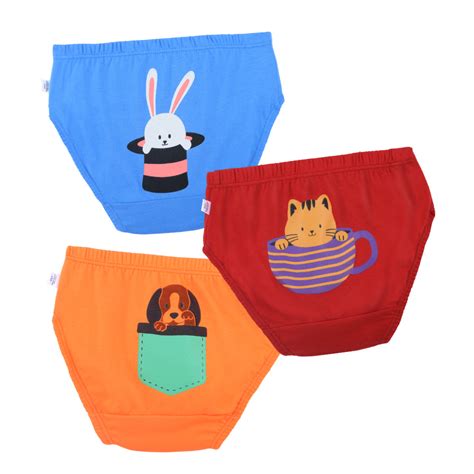 Tiny Pets - 3-Pack Boy Underwear – Plan B