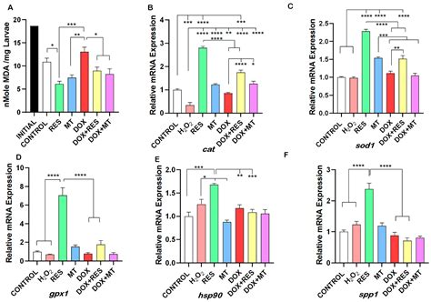 Reversal of Doxorubicin-Induced Bone Loss and Mineralization by ...
