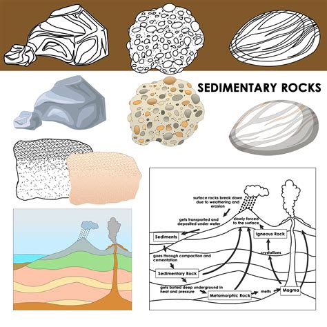 Image result for Science Cycle