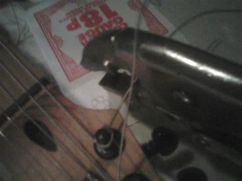 Image result for Electric 12 String Restring